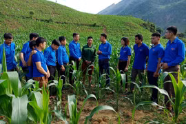 Cần tháo gỡ khó khăn về vốn cho thanh niên khởi nghiệp