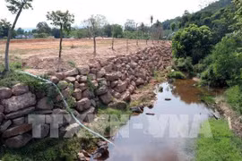 Cần sự vào cuộc, chỉ đạo quyết liệt