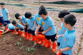 'Nói chương trình lớp 1 nặng có thể do không hiểu cách dạy'