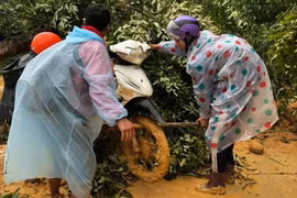Phóng viên tác nghiệp trong lũ dữ: Nêu cao tinh thần dấn thân để cống hiến