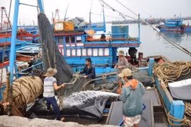 Quảng Nam: Học sinh nghỉ học, ngư dân về bờ tránh bão số 5
