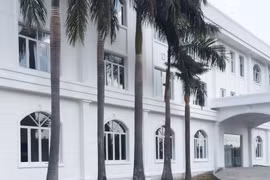 Hơn 3.000 chuyên gia nước ngoài trở lại làm việc tại Bình Dương