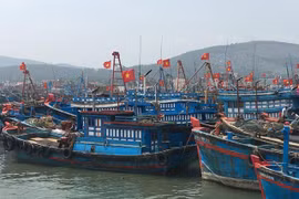 Quảng Ngãi: Các tàu thuyền không được phép ra khơi từ 13 giờ chiều nay