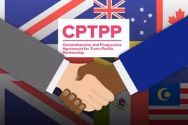 Việt Nam sẵn sàng chia sẻ kinh nghiệm tham gia CPTPP với Anh