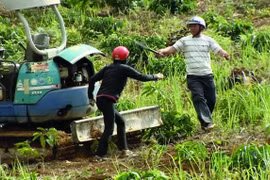 Nhà báo Minh Quang và hành trình cứu rừng xanh Tây Nguyên