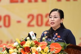 Bà Nguyễn Thanh Hải tái đắc cử chức vụ Bí thư Tỉnh ủy Thái Nguyên