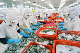 Xuất khẩu Việt Nam bắt kịp xu hướng mới để phục hồi