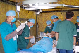 TP.HCM gấp rút xây dựng 2 bệnh viện dã chiến phòng dịch corona