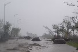 Bão số 10 di chuyển hướng Quảng Ngãi - Khánh Hòa, gây mưa lớn từ đêm nay