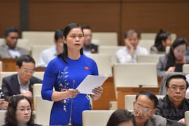 Đại biểu Quốc hội “hiến kế” cho Chương trình mục tiêu quốc gia giảm nghèo bền vững