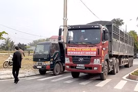 Điện Biên: Hỗ trợ gần 3000 tấn gạo cho học sinh 10 huyện, thành phố trên địa bàn