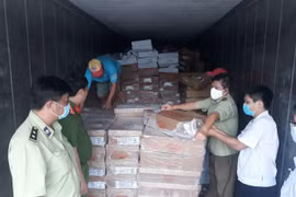 Bình Dương: Phát hiện 19 tấn thực phẩm đông lạnh đang phân hủy bốc mùi hôi thối