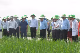Đảng bộ Thái Bình Seed: Thành công từ chăm lo nguồn nhân lực