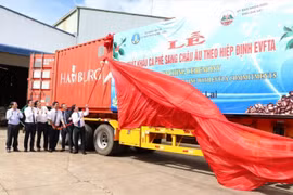 Việt Nam xuất khẩu lô cà phê đầu tiên sang châu Âu theo Hiệp định EVFTA