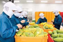 Xuất khẩu nông sản chuẩn bị cán đích