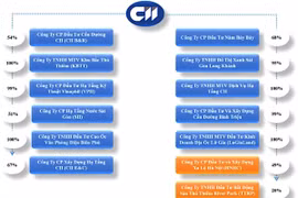 TP.HCM: Một nhà đầu tư đang nghiên cứu tuyến đường bộ trên cao hơn 1 tỷ USD