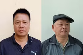 Khởi tố Chủ tịch Công ty CP tập đoàn Đại Nam vì gây thiệt hại hơn 182 tỷ đồng
