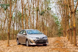 Các mẫu xe Toyota thiết lập kỷ lục bán chạy nhất từ đầu năm đến nay