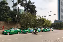 Đổi màu biển số xe kinh doanh vận tải: Kiểm soát chặt các loại hình vận tải