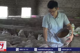 Ninh Bình đồng hành giúp nông dân phát triển kinh tế