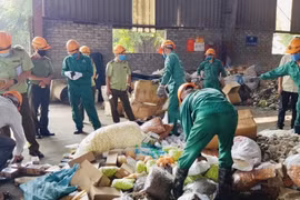 Hà Nội: Tiêu hủy 15 tấn hàng giả, hàng cấm lưu hành