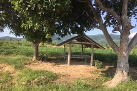 Gia Lai: Truy bắt nhóm đối tượng dùng dao tấn công 2 cán bộ kiểm lâm