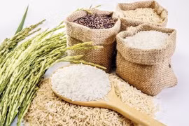 Chuyên gia bác bỏ ý kiến "90% người Việt Nam ăn gạo bẩn"