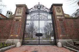 Tin tức thế giới ngày 9/7: Harvard và MIT kiện chính phủ Mỹ vì quy định visa mới với sinh viên quốc tế