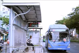 TP HCM: 1.150 tỷ đồng trợ giá xe buýt không đủ, phải bổ sung thêm
