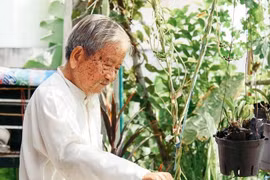 Nhà nghiên cứu 98 tuổi giao lưu Hội sách trực tuyến 2020