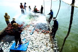Chính phủ phê duyệt nhiệm vụ lập Quy hoạch bảo vệ và khai thác nguồn lợi thuỷ sản