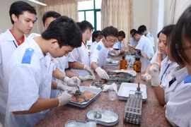 Cuối năm 2020 sẽ có quy định về chuẩn chương trình đại học