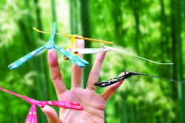 Chuồn chuồn tre - nơi lưu giữ ký ức tuổi thơ