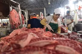 Thủ tướng yêu cầu sớm giảm giá thịt lợn