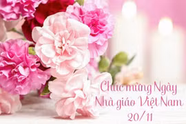 Bài phát biểu ngày 20/11 của phụ huynh