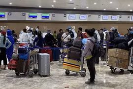 Tiếp tục đưa gần 280 công dân Việt Nam từ châu Âu về nước an toàn