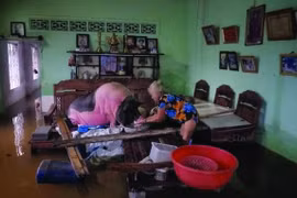 Chính quyền đô thị TP. Hồ Chí Minh: Chớ để “bình mới rượu cũ”