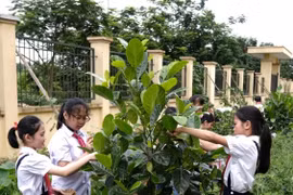 Cộng đồng mạng quyết tâm “phủ xanh” mạng xã hội và câu chuyện dễ thương đằng sau