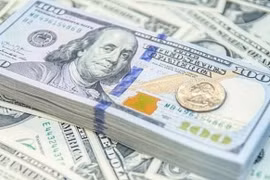Tỷ giá ngoại tệ hôm nay: Đồng USD có phần suy yếu so với đồng EURO