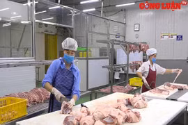 Bình ổn giá thịt lợn vẫn chưa có lời giải