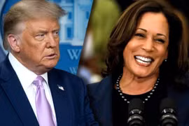 Trump bất ngờ khi Biden chọn ứng viên phó tổng thống