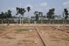 Bộ Xây dựng phản hồi về quy định cấm phân lô bán nền