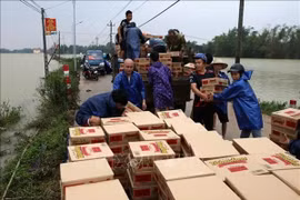 Thủ tướng đồng ý cấp ngay cho mỗi tỉnh bị thiên tai 1.000 tấn gạo
