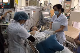 Rượu thuốc đừng để thành “rượu độc”