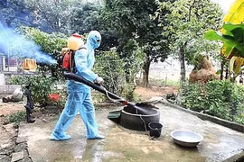 Số ca sốt xuất huyết gia tăng, gần với ngưỡng dịch
