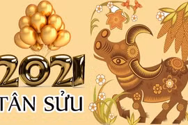 Nghiêm cấm tặng quà lãnh đạo trong dịp Tết Tân Sửu