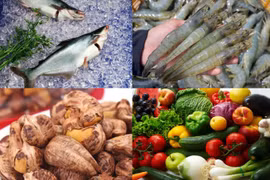 Vì sao Việt Nam chưa cần điều chỉnh các chỉ tiêu vĩ mô, tăng trưởng?