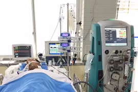 Tình hình sức khỏe mới nhất của người đàn ông bị rắn hổ mang cắn ở Tây Ninh