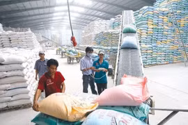 268 doanh nghiệp đạt chứng nhận doanh nghiệp xuất khẩu uy tín 2019