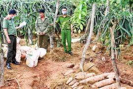 Quảng Bình phá đường dây mua bán, vận chuyển ‘khủng’ vật liệu nổ